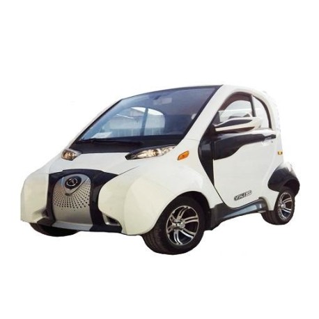 Veicolo elettrico Mini Car Guida con patentino
